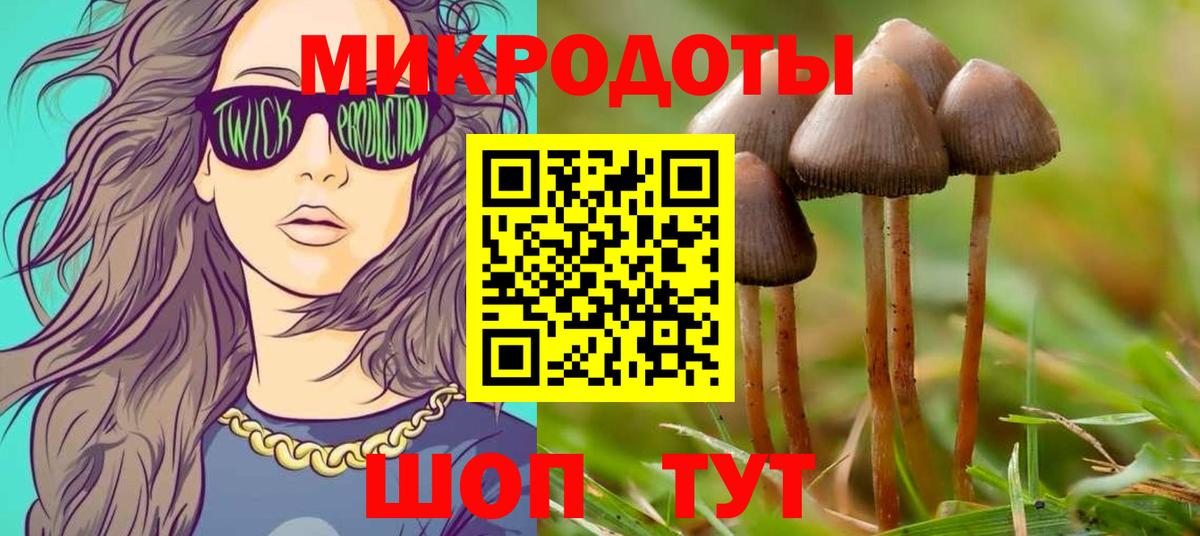 Псилоцибиновые грибы Psilocybine cubensis Карасук